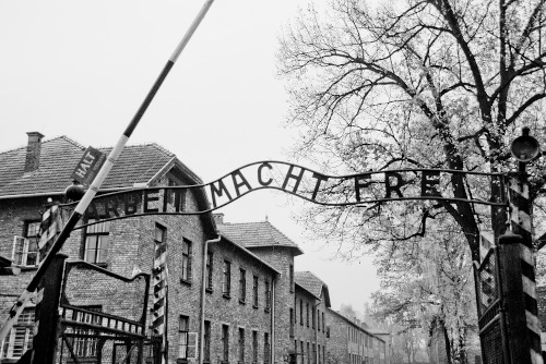 Auschwitz koncentrační tábory 